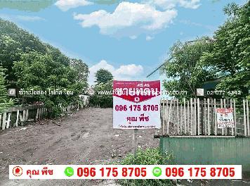 ขาย ที่ดิน บางกรวย ซอย วัดโคนอน บางสีทอง